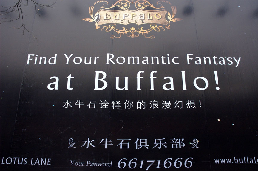 Buffalo Love