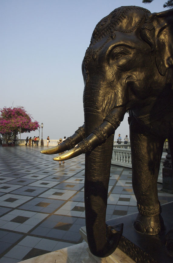 Wat Elephant