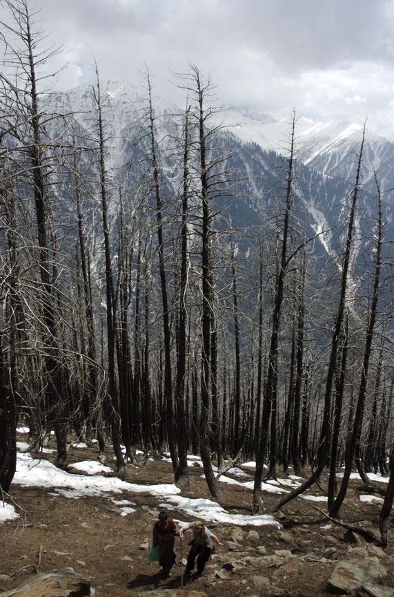Near Summit