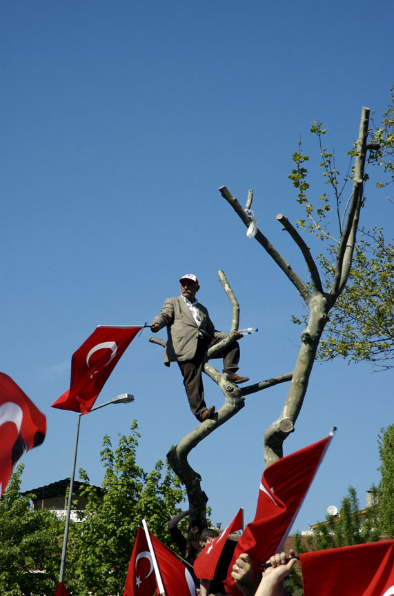 Rally Tree